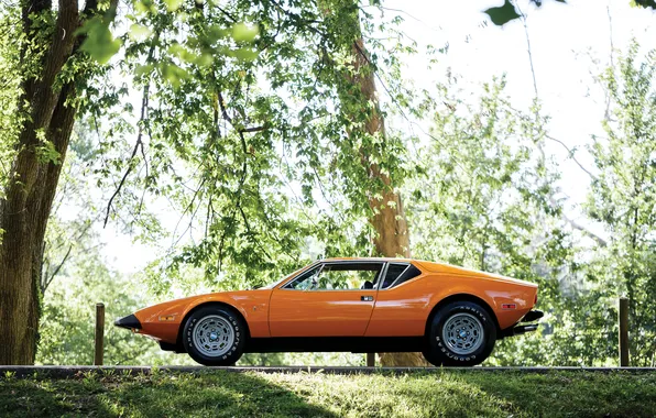 1974, De Tomaso, Pantera, De Tomaso Pantera L