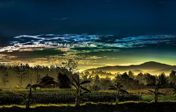 Thailand, cloud, dusk, palm trees, horizon, atmosphere, mist, mountai