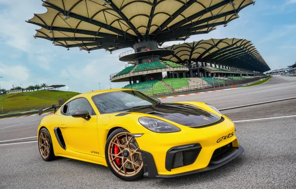 Porsche, Cayman, Weissach Package, 718, gt4, porsche 718, GT4 RS, Porsche 718 Cayman GT4 RS