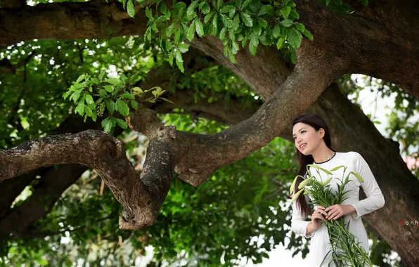 Картинка девушка, дерево, азиатка