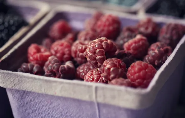 Картинка макро, ягоды, raspberries