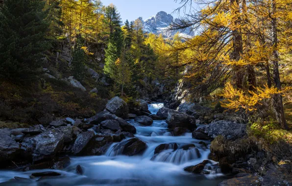 Картинка осень, лес, деревья, горы, река, камни, Франция, France