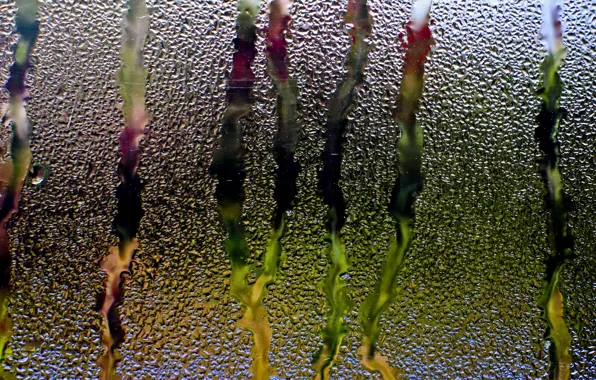 Картинка стекло, вода, капли, дождь, окно, потоки
