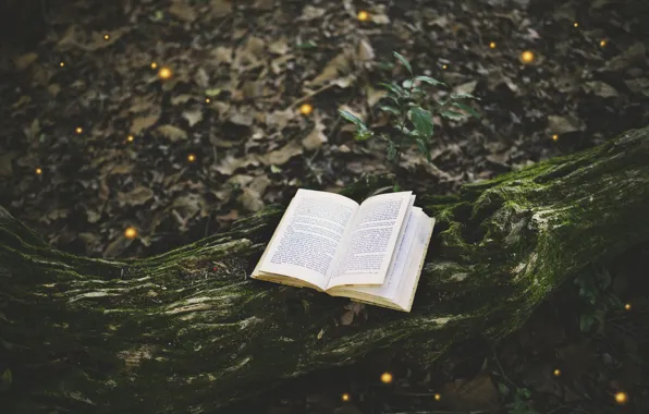 Лес, дерево, мох, книга, страницы