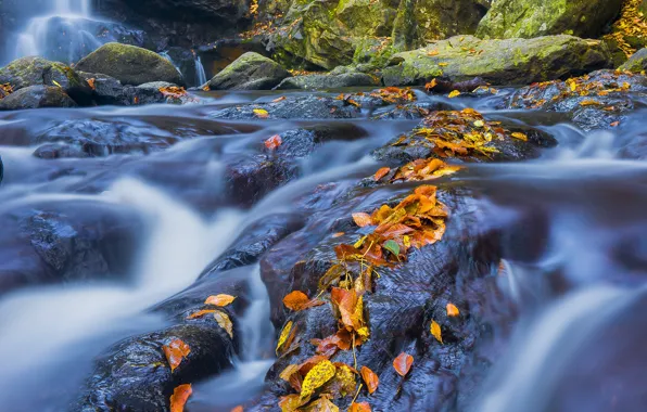 Камни, водопад, осенние листья