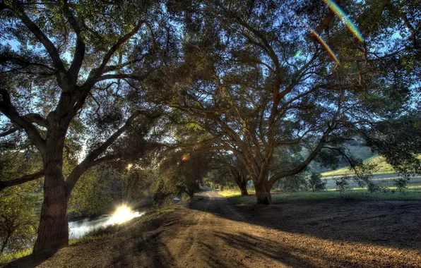 Дорога, деревья, пейзаж, река