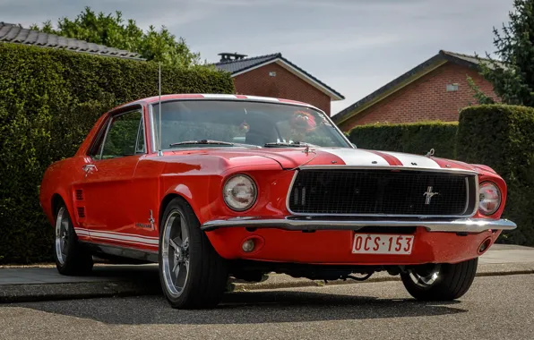 Картинка Mustang, Ford, Red, White, Street, Stripes