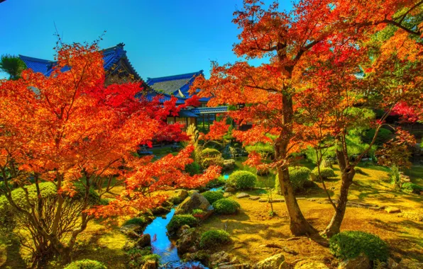 Картинка фото, HDR, Япония, сад, Japan, Kyoto
