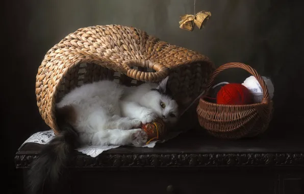 Кошка, кот, взгляд, клубок, поза, темный фон, игрушка, игра