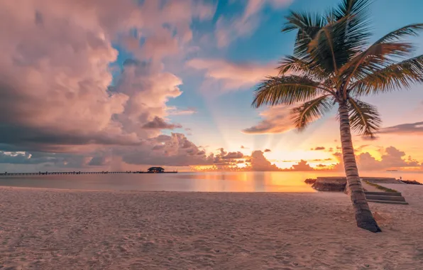 Картинка песок, пляж, небо, облака, закат, тропики, пальма, океан