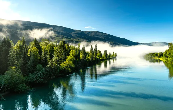 Картинка forest, river, sky, trees, landscape, nature, water, mountains