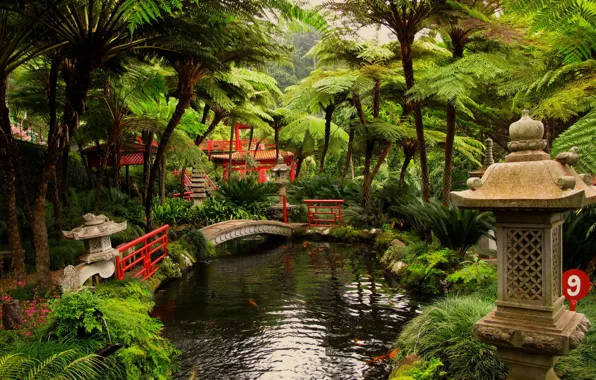 Картинка пруд, Японский, сады