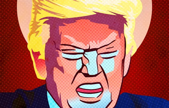 USA, США, Президент, Арт, Гнев, Donald Trump, Дональд Трамп, 45-й президент США