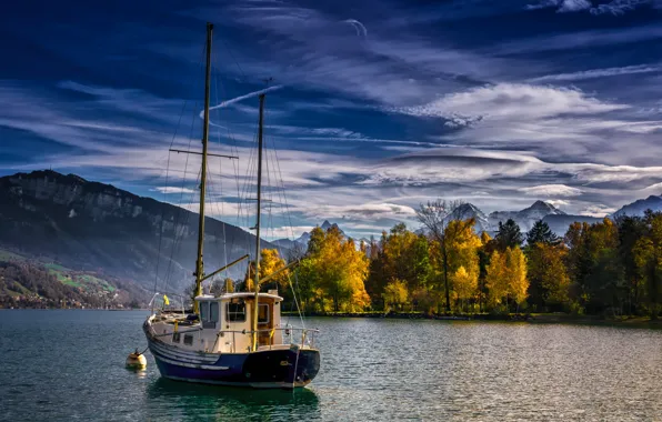 Картинка осень, деревья, пейзаж, горы, природа, берег, лодка, Швейцария
