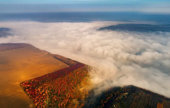 Картинка осень, туман, река, утро, Молдова