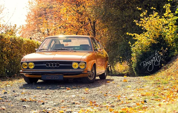 Audi, Ауди, Осень, Купе, 100, Coupe S