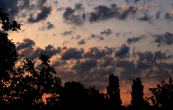 Dark, sky, cloud