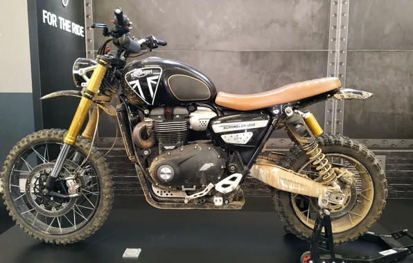Bike, triumph, motorbike, 1200, scrambler