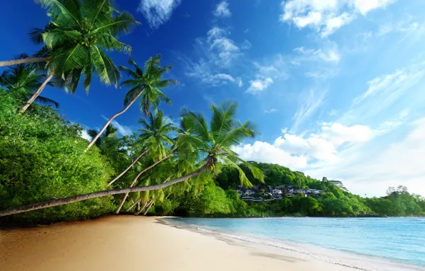Картинка море, пляж, тропики, пальмы