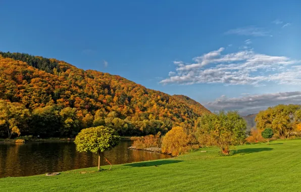 Картинка осень, небо, трава, солнце, облака, деревья, река, берег