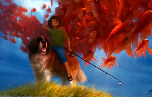 Картинка рыбы, собака, рыбак, мальчик, удочка, Liam Peters