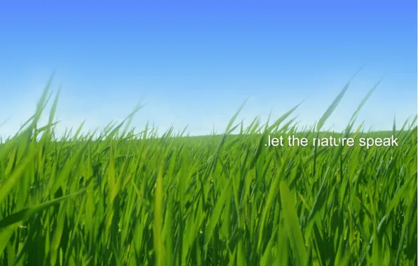 Nature, Sky, Grass, Green, Field, Speak