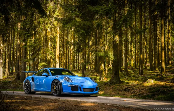 911, Porsche, Blue, Green, Evening, GT3 RS, Forest, VAG