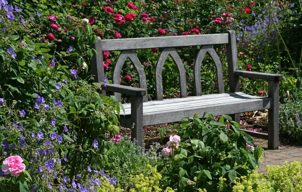 Картинка цветы, скамейка, Англия, розы, сад, Devon, солнечно, кусты