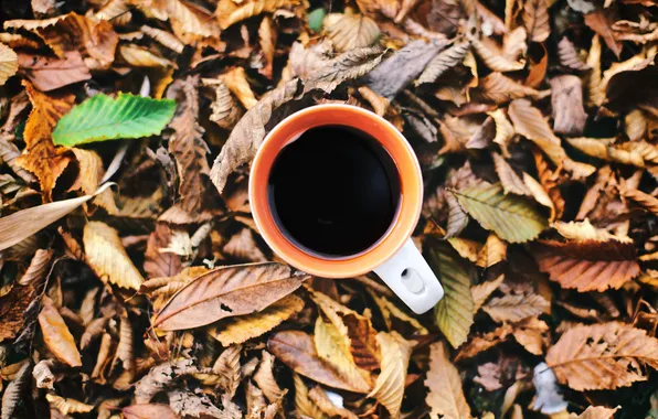 Осень, листья, кружка, чашка, напиток