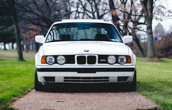 BMW, White, E34