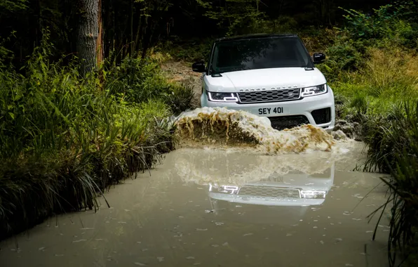 Картинка дорога, лес, вода, волна, лужа, внедорожник, Land Rover, чёрно-белый