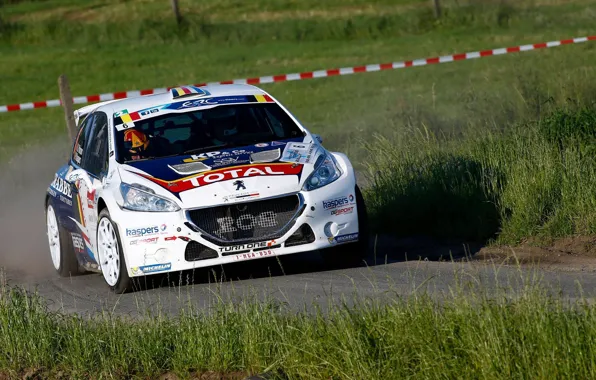 Картинка Пежо, Peugeot, Rally, 208, ERC, Фас, t16