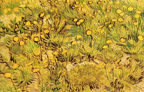 Картинка Винсент ван Гог, A Field of Yellow Flowers, Arles