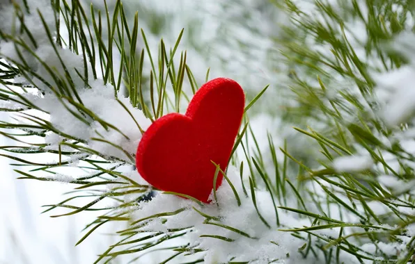 Картинка зима, снег, любовь, дерево, сердце, love, i love you, heart