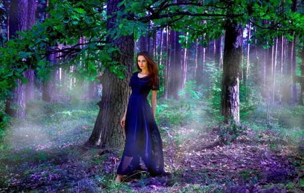 Картинка лес, девушка, свет, платье, Анастасия Косачева