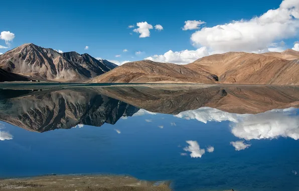 Горы, озеро, Тибет, Tibet, панорамма, India, Pangong Lake, Jammu and Kashmir