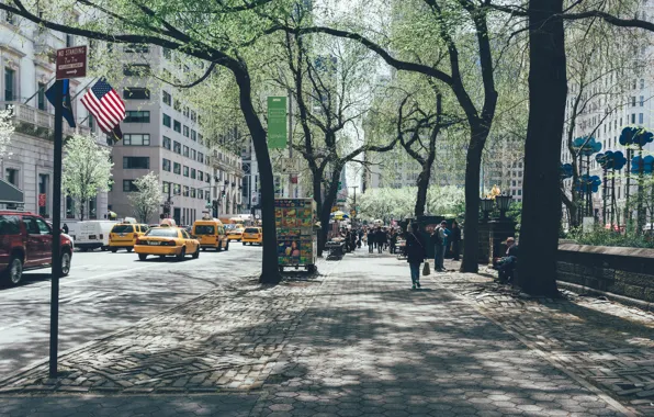 USA, United States, trees, New York, Manhattan, NYC, New York City, street