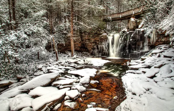 Картинка зима, лес, снег, деревья, мост, река, водопад, West Virginia