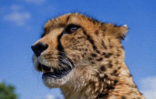Кошка, шерсть, Гепард