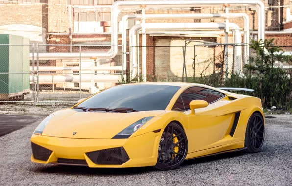 Lamborghini, Gallardo, ламборджини, yellow, галлардо