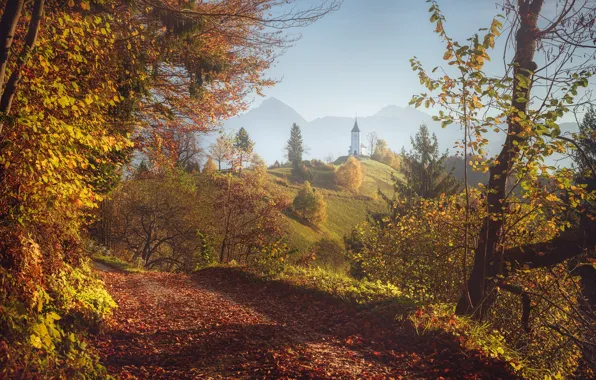 Горы, церковь, природа, холм, деревья, Словения, осень, пейзаж