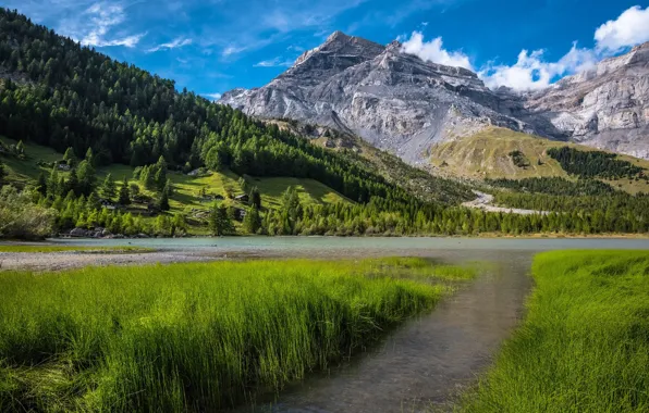 Лес, небо, горы, природа, река