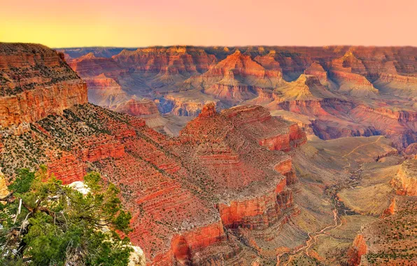 Картинка небо, закат, горы, дерево, каньон, Аризона, USA, США