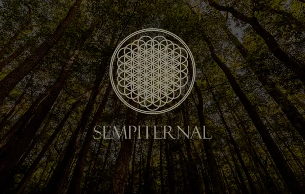 Music, Wood, Logo, Post-Hardcore, Bring Me The Horizon, Metalcore, Trees, Sempiternal