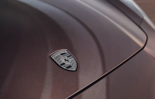 Porsche, Panamera, logo, badge, Porsche Panamera Turbo Sonderwunsch