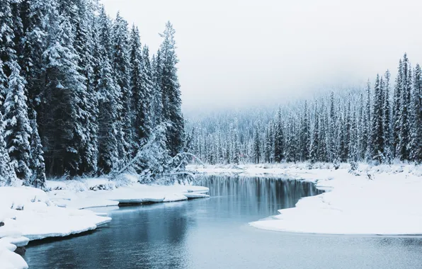 Картинка зима, лес, снег, природа, река