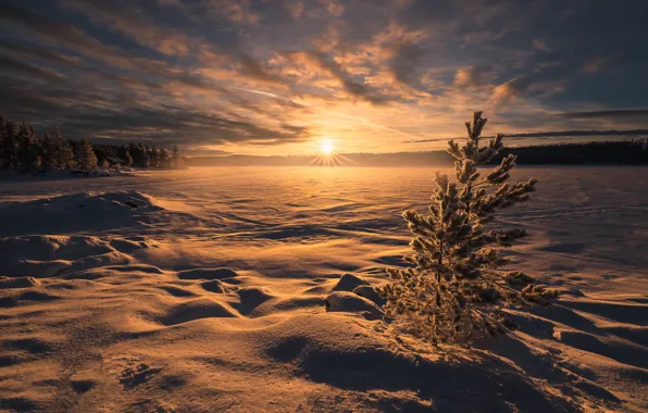 Картинка зима, снег, закат, озеро, Норвегия, сугробы, Norway, Рингерике