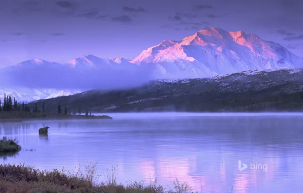 Картинка Аляска, озеро, лось, горы, небо, Wonder Lake, США