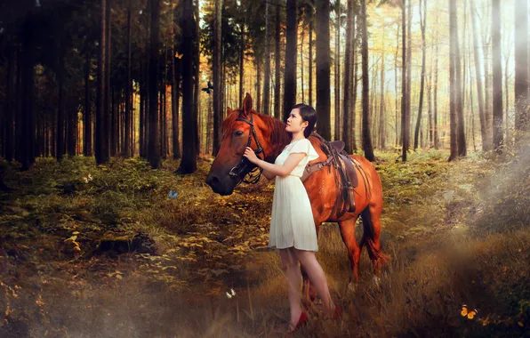 Картинка лес, девушка, конь