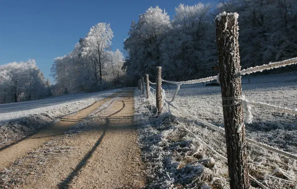 Картинка деревья, дорога, иней, природа, снег, зима